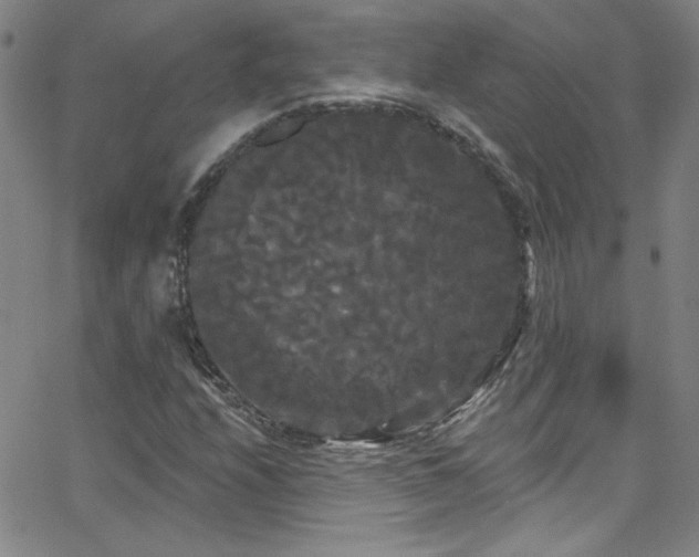 X0000068771208200604281229