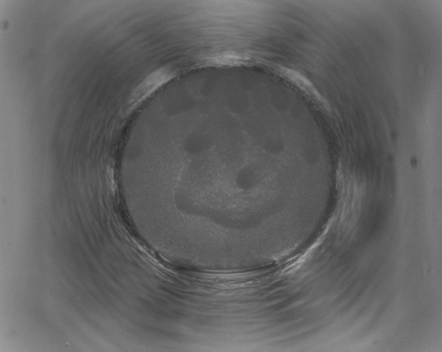 X0000068771209200604281229