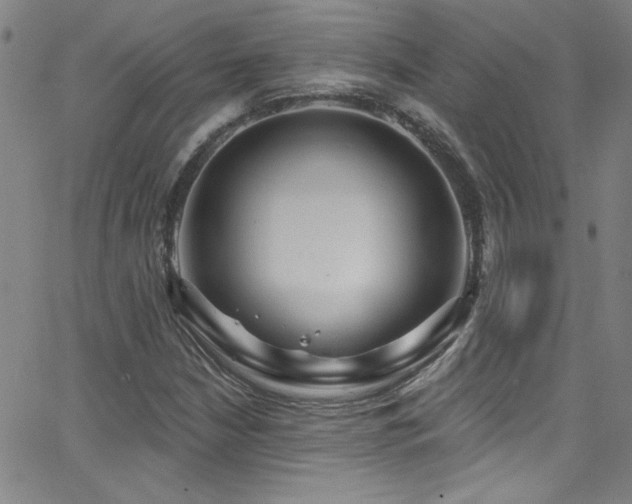 X0000068771210200604281229