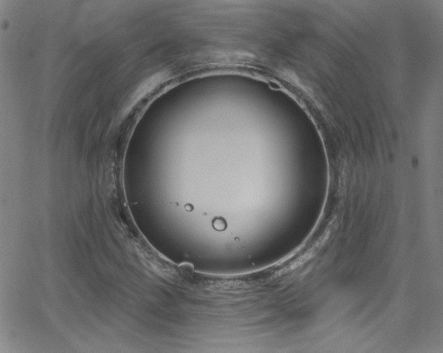 X0000068771211200604281229