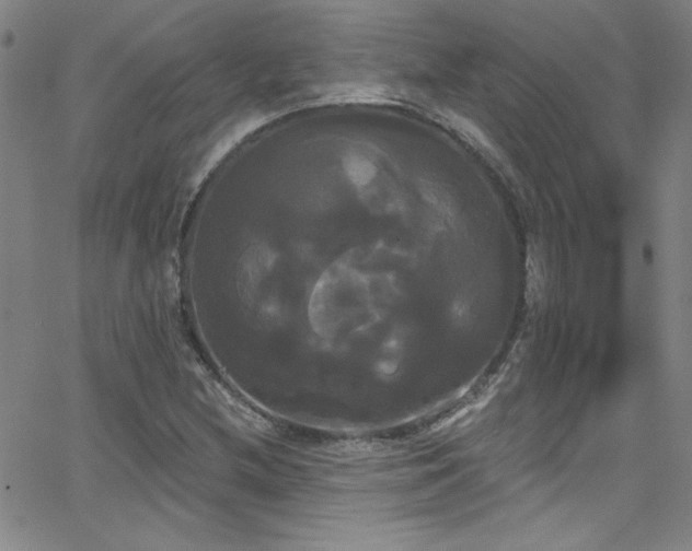 X0000068771212200604281229