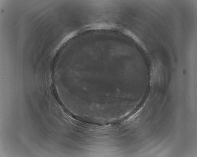 X0000068771213200604281229