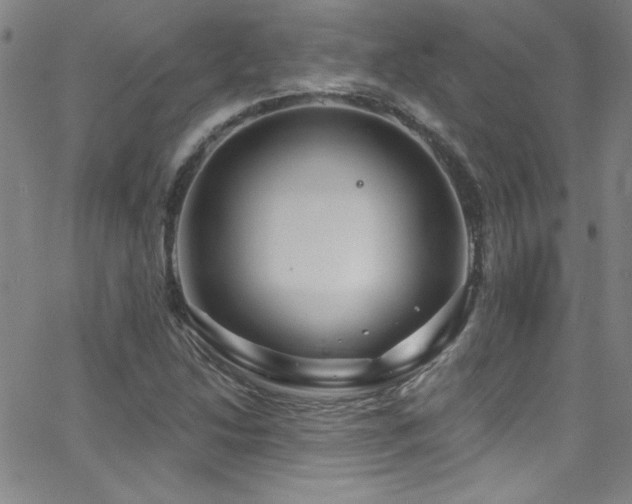 X0000068771214200604281230