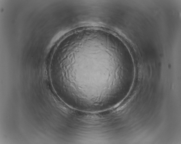 X0000068771215200604281230