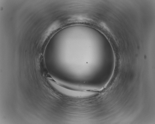 X0000068771218200604281230