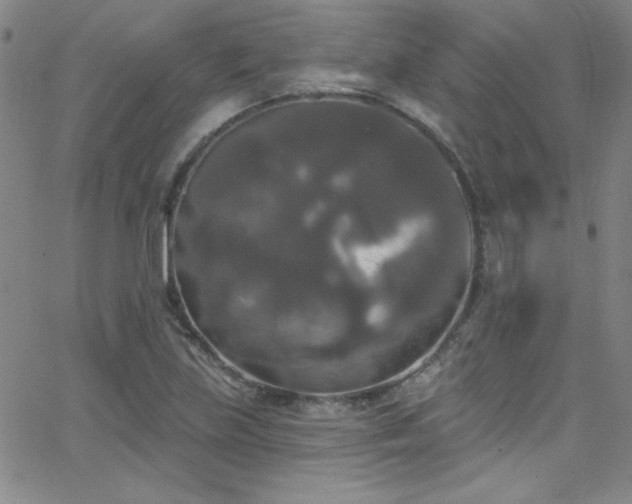 X0000068771219200604281230