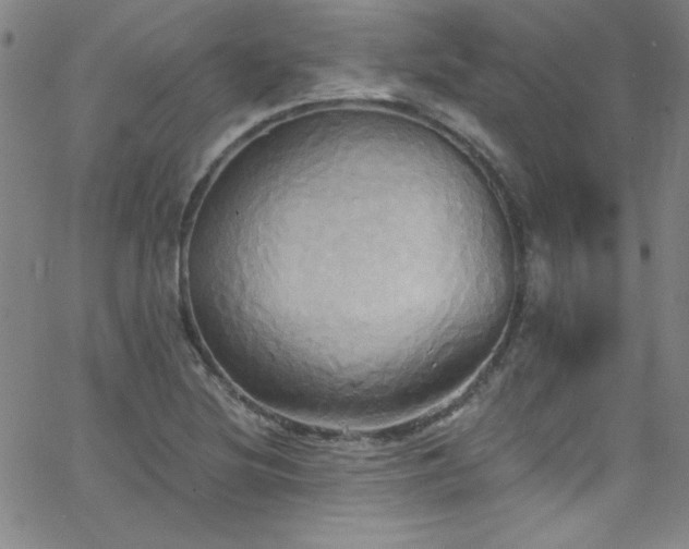 X0000068771220200604281230