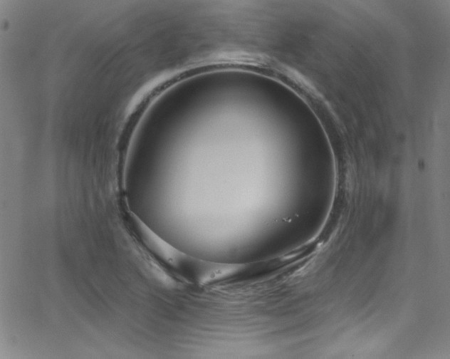 X0000068771222200604281230