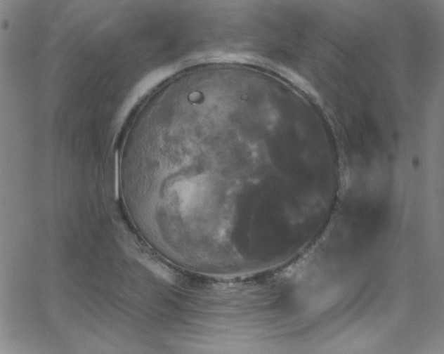 X0000068771223200604281230