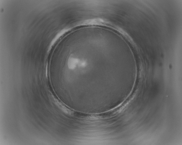 X0000068771224200604281230