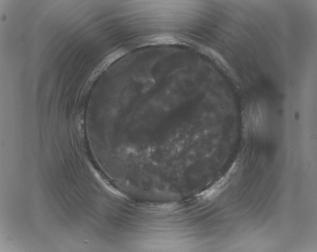 X0000068771225200604281230