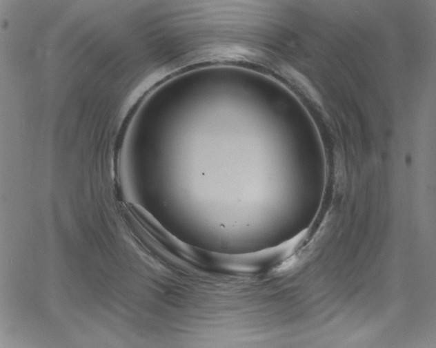 X0000068771226200604281230