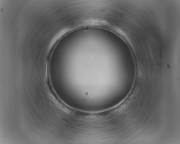 X0000068771227200604281230