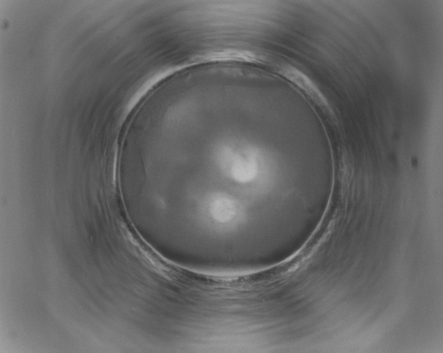 X0000068771228200604281230