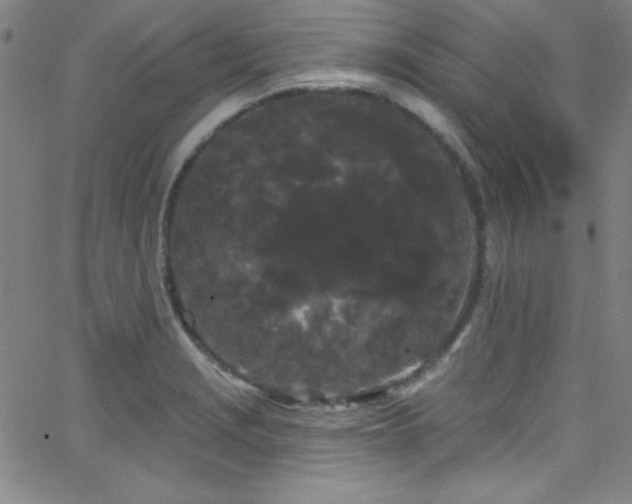 X0000068771229200604281230