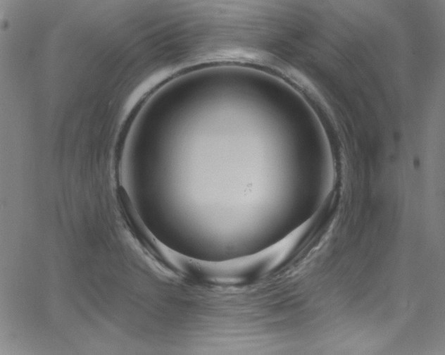 X0000068771230200604281230