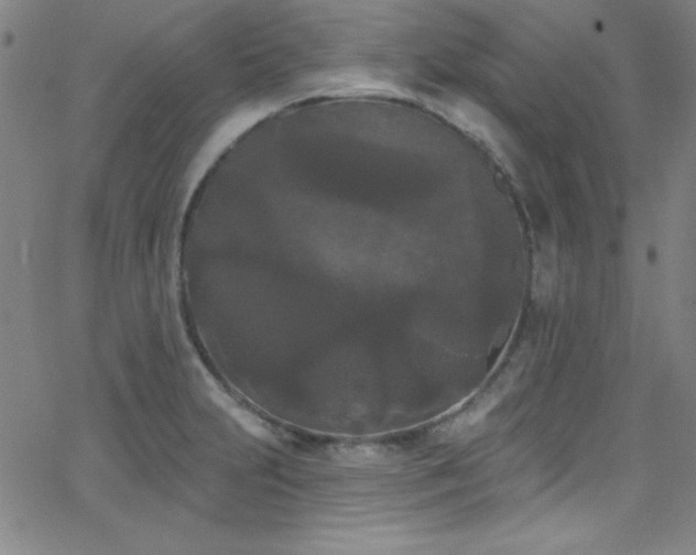 X0000068771231200604281230