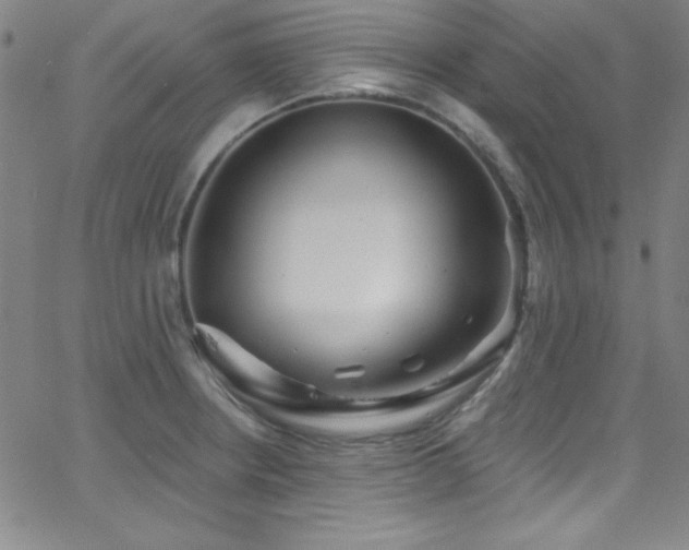 X0000068771234200604281230