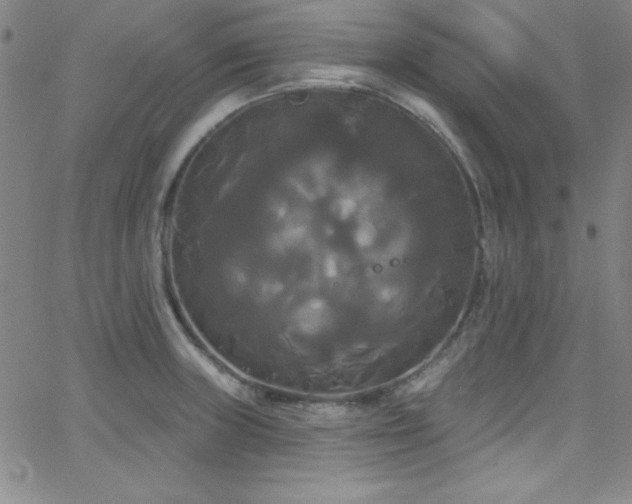 X0000068771235200604281230