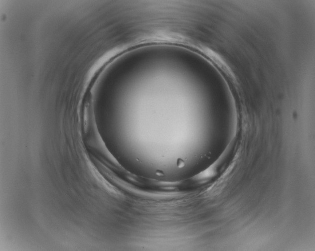 X0000068771238200604281230