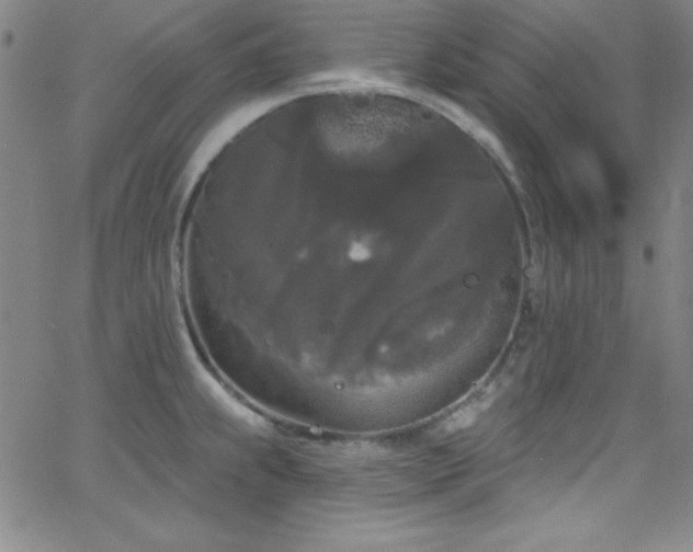 X0000068771239200604281230