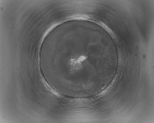 X0000068771240200604281230