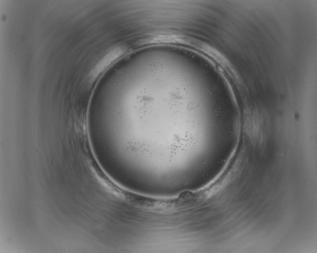 X0000068771241200604281230