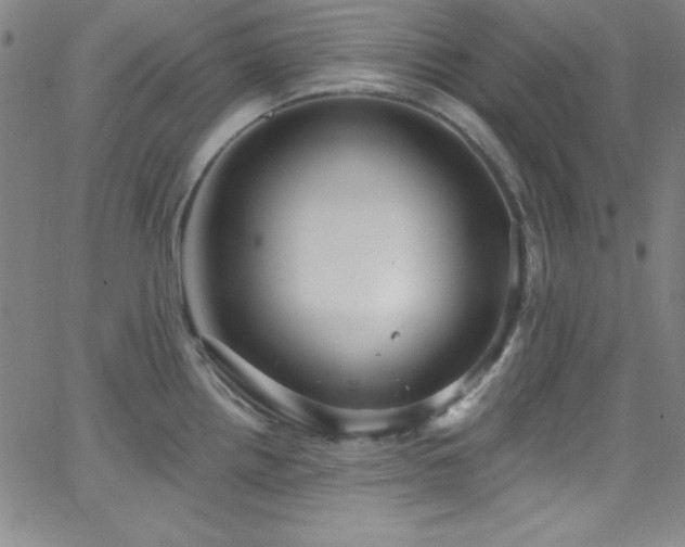 X0000068771242200604281230