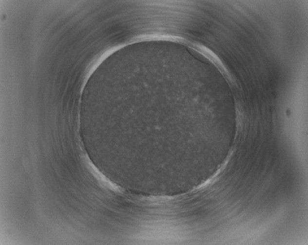 X0000068771244200604281230