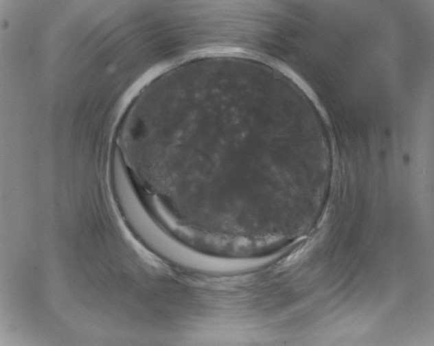 X0000068771245200604281230