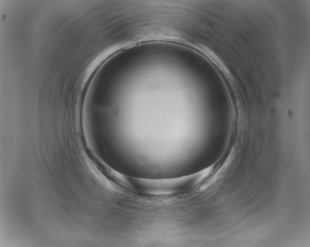 X0000068771246200604281230