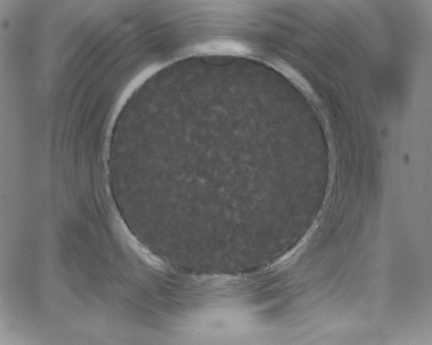 X0000068771248200604281230