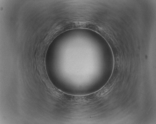 X0000068771249200604281229