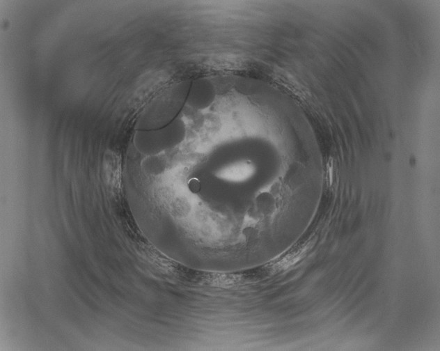 X0000068771251200604281229