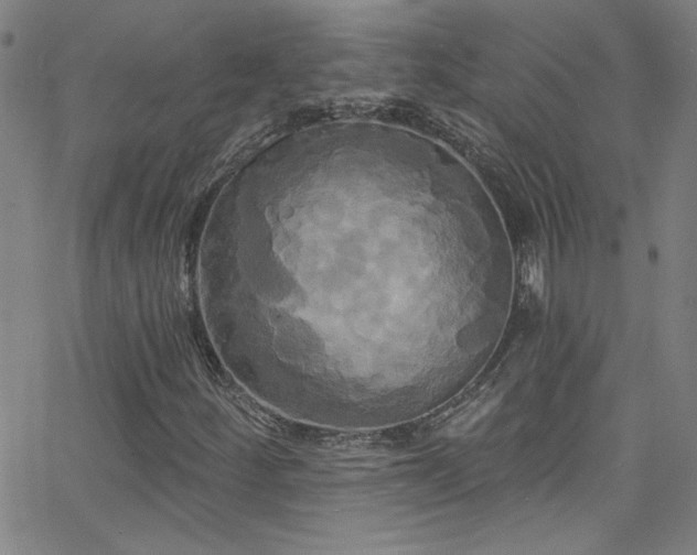 X0000068771252200604281229