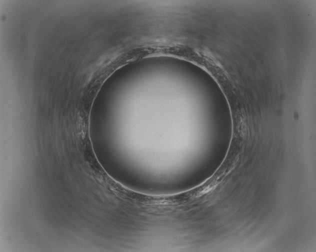 X0000068771253200604281229