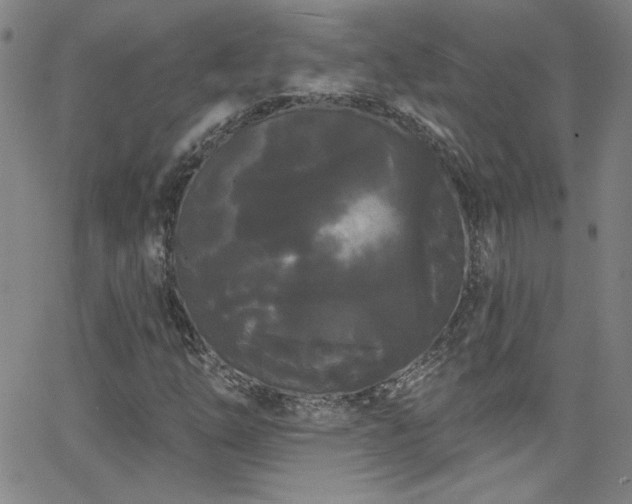 X0000068771254200604281229