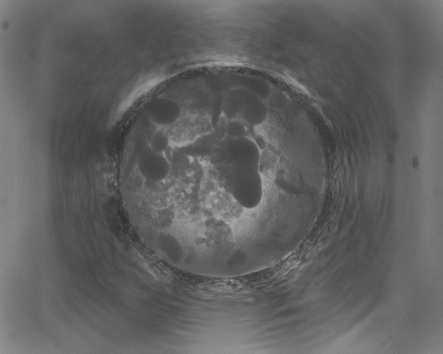 X0000068771255200604281229