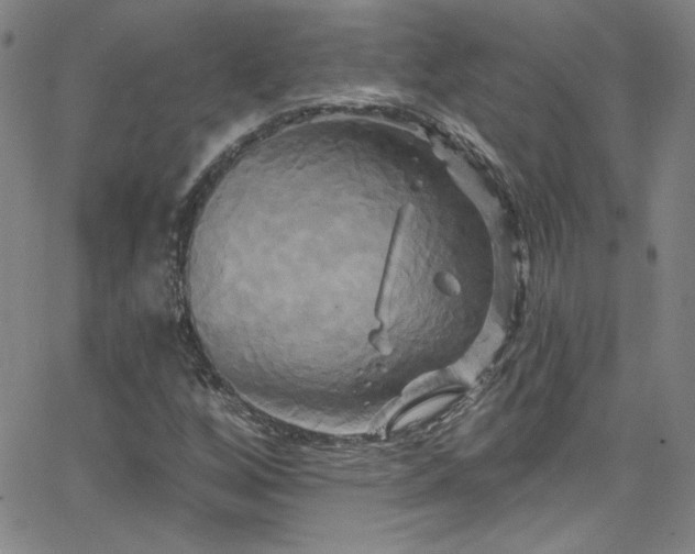 X0000068771256200604281229