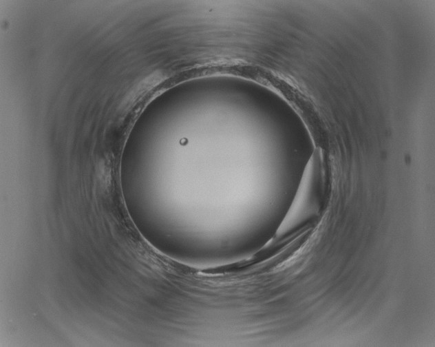 X0000068771257200604281229