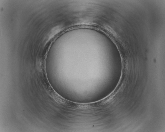 X0000068771258200604281229