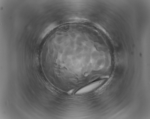 X0000068771259200604281229