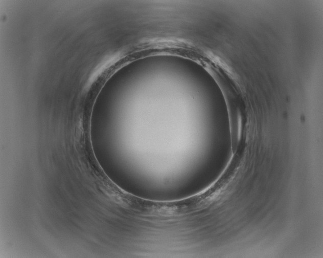 X0000068771261200604281229