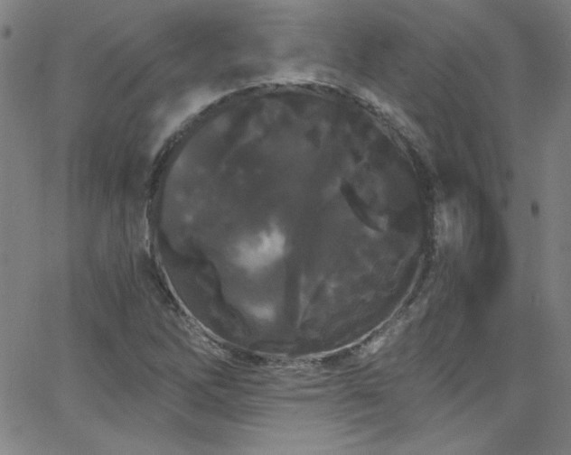 X0000068771262200604281229