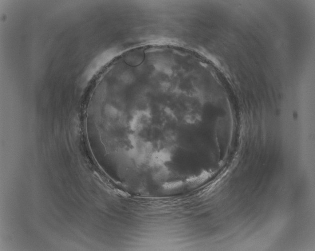 X0000068771263200604281229