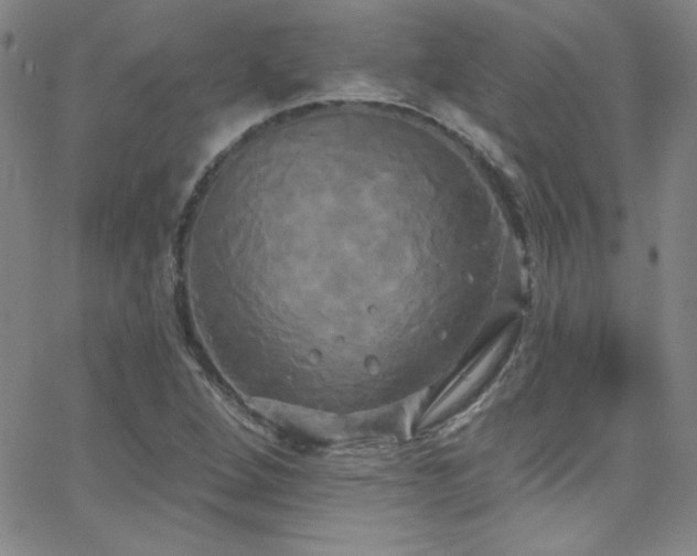 X0000068771264200604281229