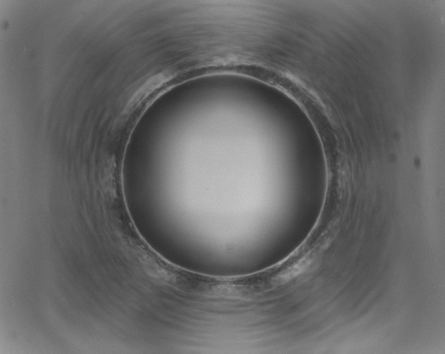 X0000068771265200604281229