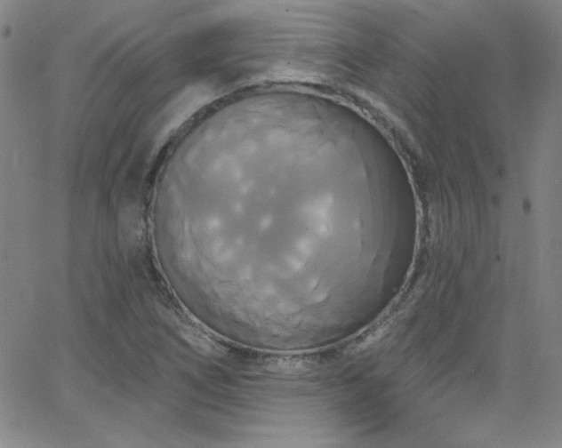 X0000068771266200604281229