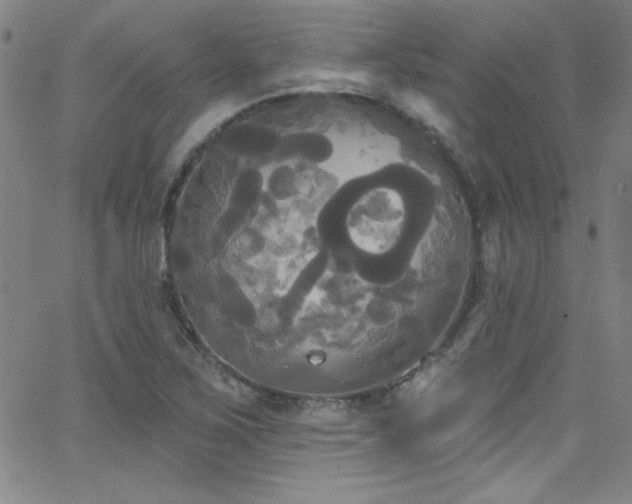 X0000068771267200604281229