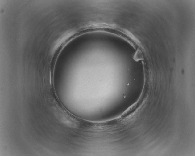 X0000068771269200604281229